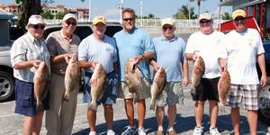 Lots of Grouper