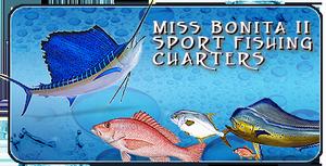 www.missbonita2.com