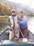 On the Fly guide Tracy