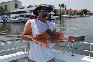 Florida Red Grouper