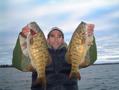 Smallmouth Bass