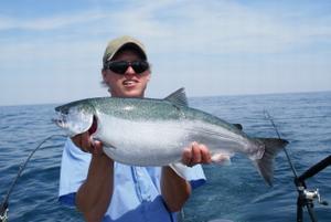 Coho Salmon