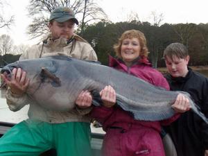 98 Lb Blue