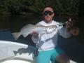 Trout