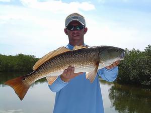 Redfish