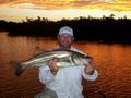 Indian River Snook