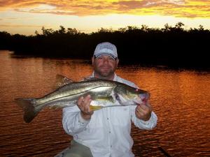 Indian River Snook