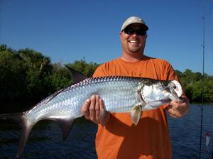 Indian River Tarpon