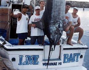 Live Bait Record #953