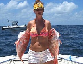 Reds