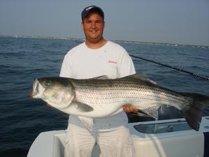 Trophy Stripers