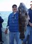 15 lb Blackfish