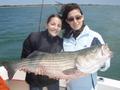 Big Striped Bass