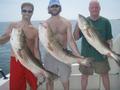 Father's day bass